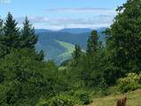 2035 Seven Mile High Rd - Photo 20