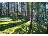 2040 Dogwood Dr - Photo 44