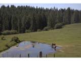 55821 Wildhorse Rd - Photo 29