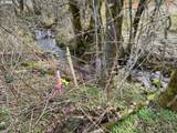 3032 Elizabeth - Photo 22