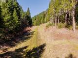 14536 Little River Rd - Photo 8