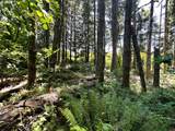  High Pass Rd - Photo 27