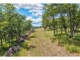 125 Eagle Dr - Photo 11