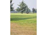2215 Country Club Ter - Photo 24