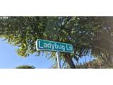 475 Ladybug Ln - Photo 12