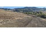 475 Ladybug Ln - Photo 3