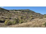 475 Ladybug Ln - Photo 6