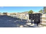 475 Ladybug Ln - Photo 9