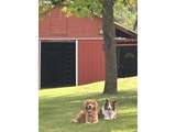33318 Funny Farm Rd - Photo 8