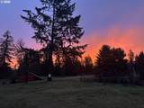 33318 Funny Farm Rd - Photo 26