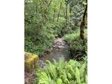 33318 Funny Farm Rd - Photo 29