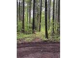 33318 Funny Farm Rd - Photo 31