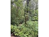 33318 Funny Farm Rd - Photo 32