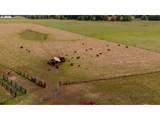 17779 Sitkum Ln - Photo 31