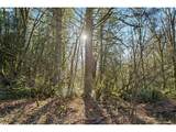 9245 Skyline Blvd - Photo 8