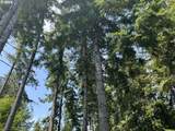1 Walberg Rd - Photo 6