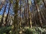 000 Logsden Rd - Photo 18