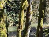 000 Logsden Rd - Photo 22