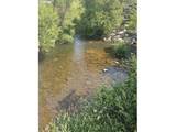  Olson Rd - Photo 4