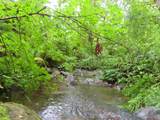  Sylvan Way - Photo 10