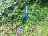  Sylvan Way - Photo 17