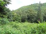 Sylvan Way - Photo 4