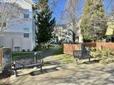 2004 Cadbury Ave - Photo 41