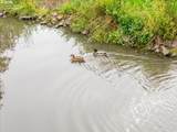 12612 Barnes Rd - Photo 33