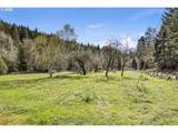 505 Sibold Canyon Rd - Photo 10