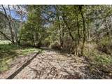 505 Sibold Canyon Rd - Photo 19
