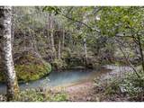 505 Sibold Canyon Rd - Photo 2