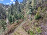 505 Sibold Canyon Rd - Photo 22