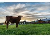 66505 Gerking Market Rd - Photo 38