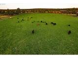 66505 Gerking Market Rd - Photo 40