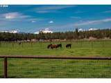 66505 Gerking Market Rd - Photo 42