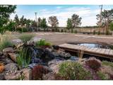66505 Gerking Market Rd - Photo 43