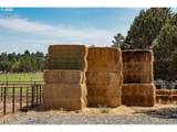 66505 Gerking Market Rd - Photo 46