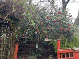 8054 Reedway St - Photo 14