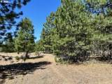 41 Timber Dr - Photo 16