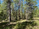 41 Timber Dr - Photo 3