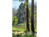 49348 Mckenzie Hwy - Photo 28