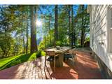 4321 Dosch Rd - Photo 33