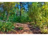 4321 Dosch Rd - Photo 36