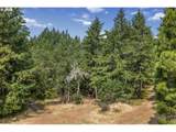 Lyle Snowden Rd - Photo 11