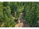  Lyle Snowden Rd - Photo 14