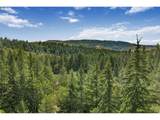  Lyle Snowden Rd - Photo 15