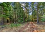  Lyle Snowden Rd - Photo 16