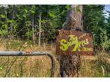  Lyle Snowden Rd - Photo 17