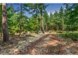  Lyle Snowden Rd - Photo 18