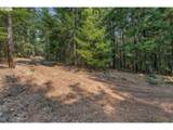  Lyle Snowden Rd - Photo 19